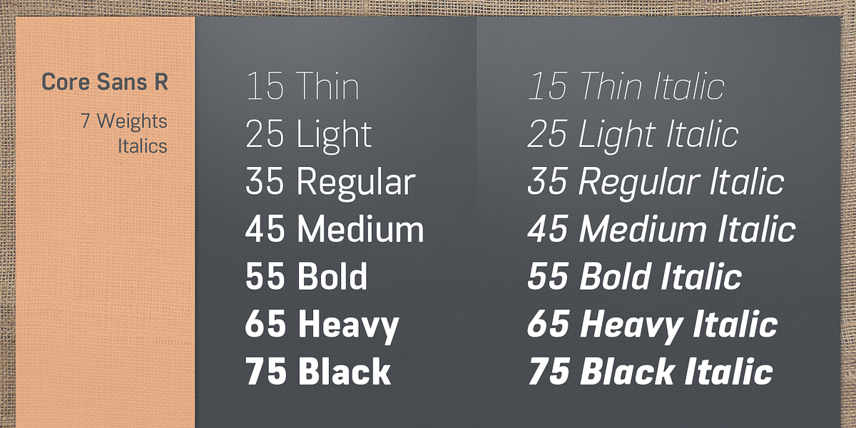 Core Sans R, a Sans Serif Font by S-Core (Photo 3 of 6)