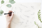 Fine Art Wild Flower Illustrations, a Texture Illustration by With Love Ethel (Thumbnail 6 of 7)