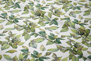 Watercolor Garden Rose Patterns, a Pattern Graphic by Jeanna Draw (Thumbnail 4 of 12)