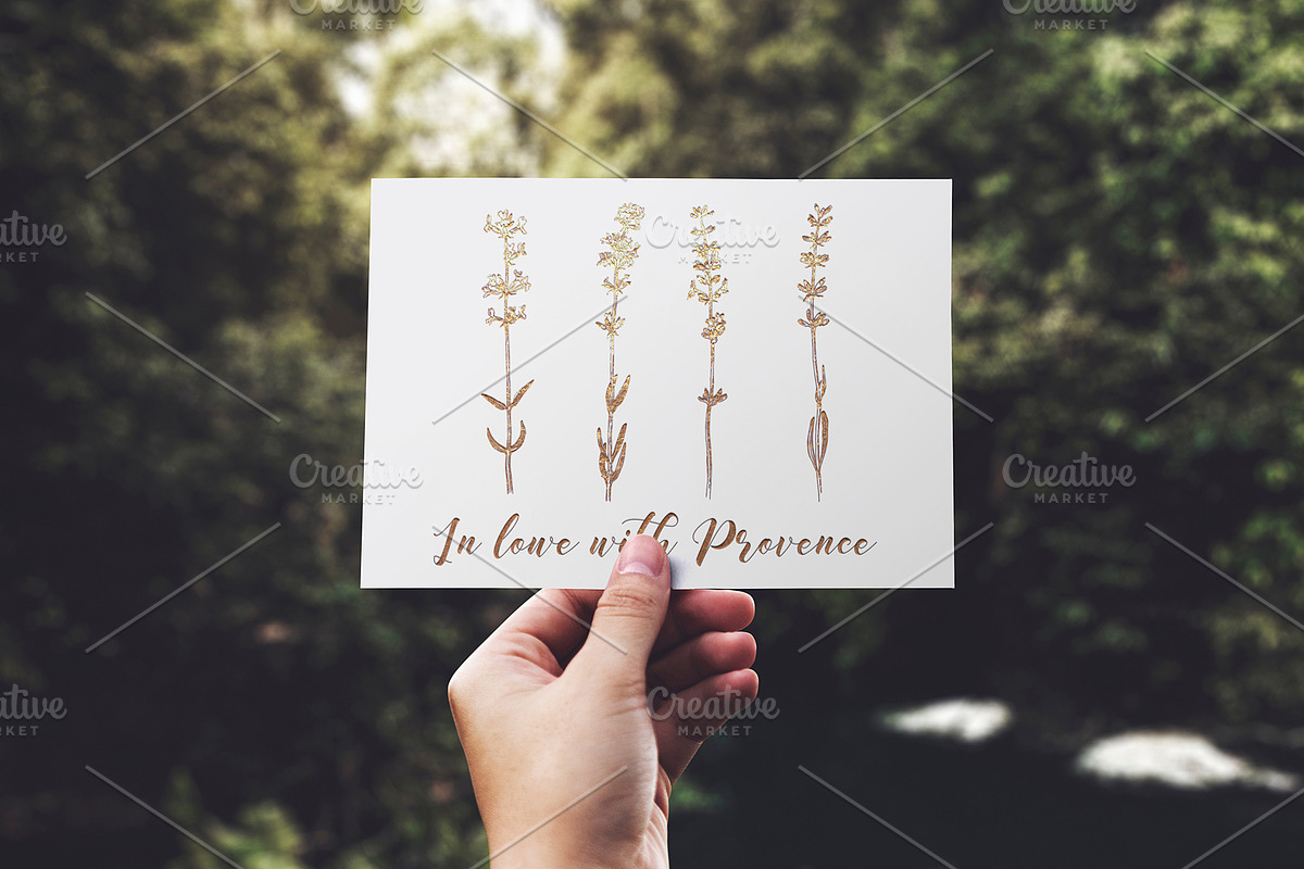Hand drawn lavender collection, a Decorative Illustration by handsketched (Photo 7 of 8)