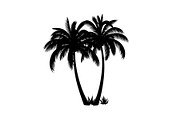 Summer Beach Palm Bundle, an Illustration by jahid234 (Thumbnail 15 of 21)