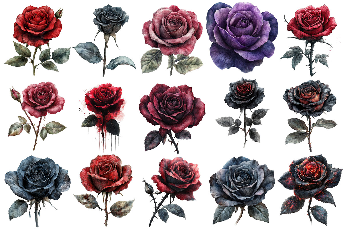 Gothic Roses Clipart PNG, an Illustration by SinaCreation (Photo 2 of 5)