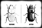 Stipple Master Photoshop Brushes, a Brush Add-On by RDShop (Thumbnail 4 of 5)