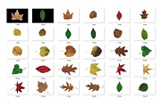 30 Autumn Leaf Texture, a Texture Graphic by CCPreset (Thumbnail 2 of 3)