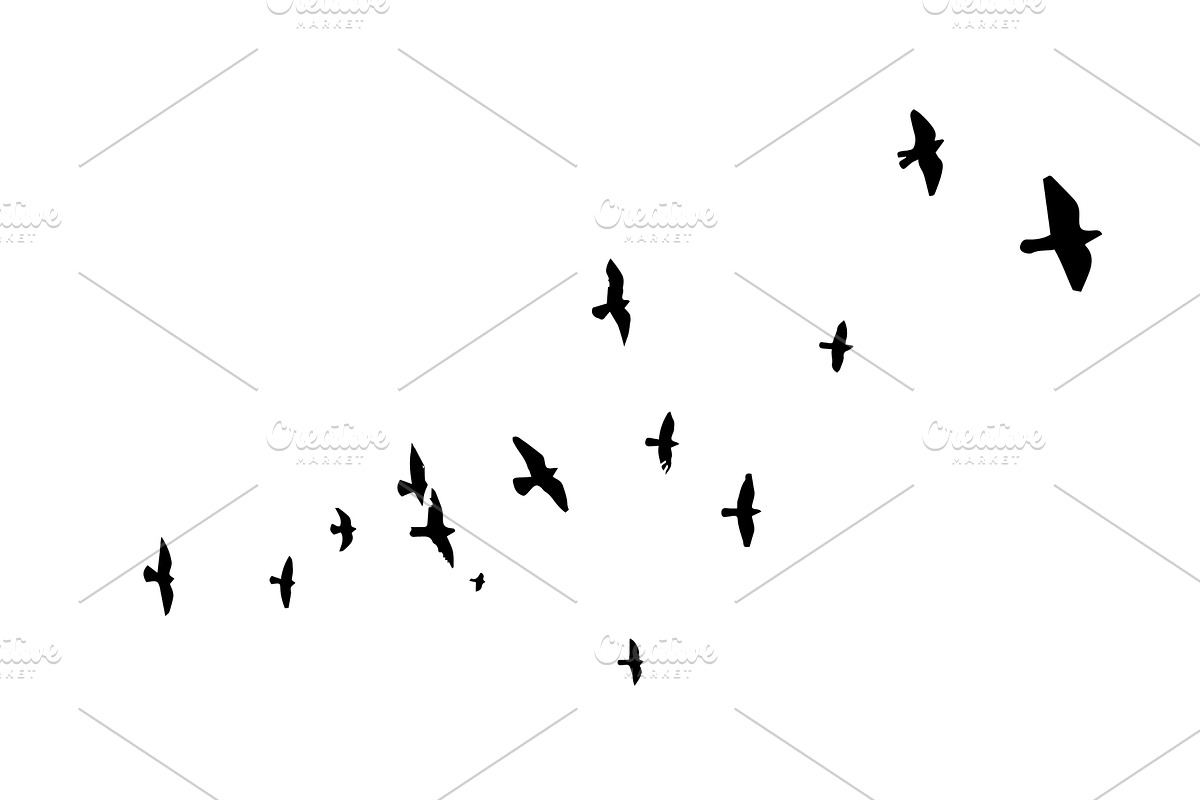 Flying birds silhouette flock. hand, an Animal Illustration by Nenahliadava Design