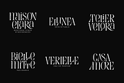 Evertype - Display Serif Font Family, a Serif Font by VP Fonts (Thumbnail 16 of 32)