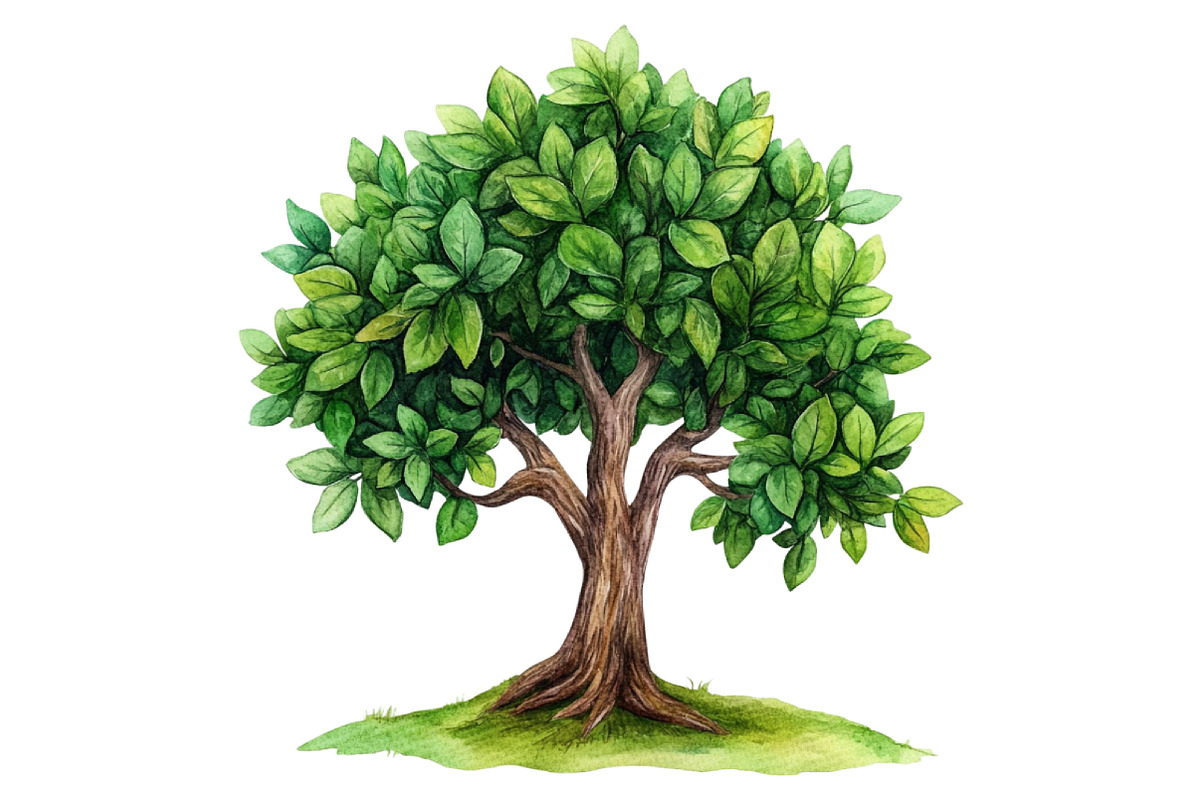 Sacred Tree of Life Clipart Bundle, an Illustration by DreamCafeArt (Photo 2 of 6)