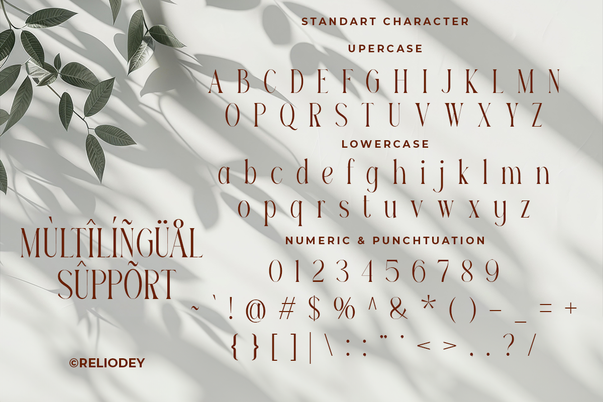 Reilodey - Modern Classy Font, a Serif Font by RagamKata (Photo 9 of 10)