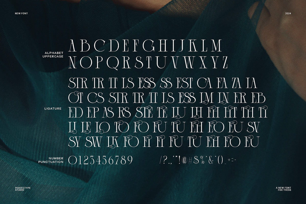 Fox Thess Elegant Serif Font, a Serif Font by Perfectype (Photo 8 of 8)