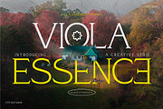 Viola Essence – Creative Serif Font, a Serif Font by Vadovastd (Thumbnail 1 of 7)