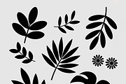 collection tropical leaf silhouette, an Illustration by Amazin_art (Thumbnail 6 of 21)