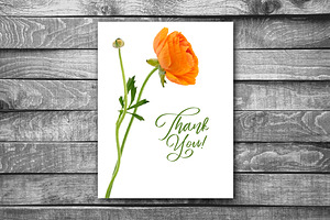 Ranunculus Floral ClipArt Realistic