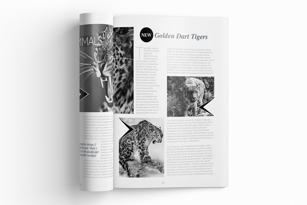 Magazine Template InDesign 13, a Magazine Template by Love Graphic Design (Photo 6 of 20)