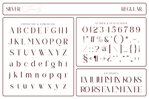 Silver Snowly - Font Duo