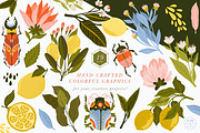 Lemon Blossom Collection, an Illustration by PetiteMarket (Thumbnail 2 of 3)