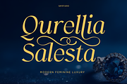 Elegant Serif - Qurellia Salesta, a Serif Font by Say Studio (Thumbnail 1 of 16)