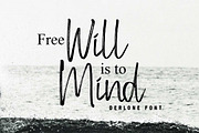 Derlon, a Handwritten Font by Soft Creative (Thumbnail 4 of 9)