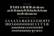 Ranfgih Stylish Serif Font, a Serif Font by Storytype Studio (Thumbnail 13 of 15)