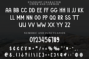 Teacher Said, a Serif Font by FreshTypeINK (Thumbnail 6 of 8)