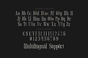 Wonderia - Aesthetic Font, a Serif Font by Fype Co. (Thumbnail 5 of 5)