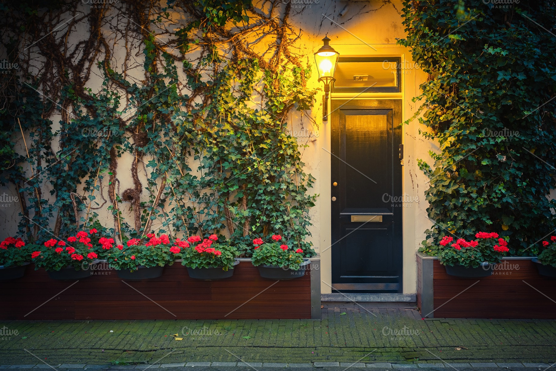 House in Amsterdam, an Architecture Photo by sborisov