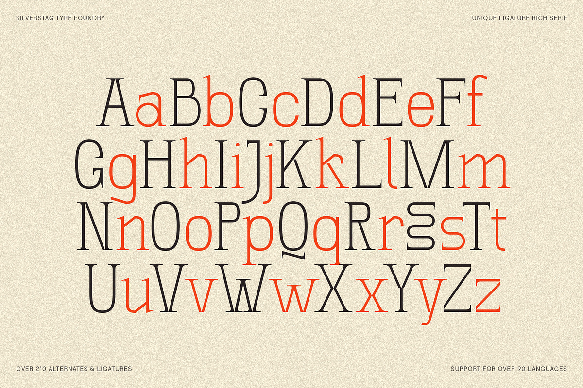 SLTF Winner Baroque - Ligature Serif, a Serif Font by SilverStag Type Foundry (Photo 30 of 30)