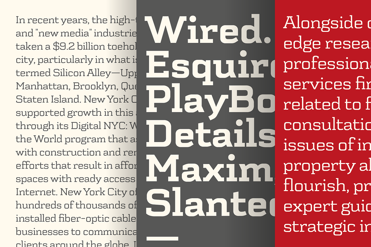 Schwager, a Slab Serif Font by Latinotype (Photo 3 of 5)