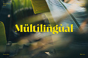Blush Asliring - Display Retro Serif, a Serif Font by BrandSemut (Thumbnail 15 of 20)