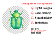 Insects Watercolor Clipart Png, an Illustration by Dream Creation (Thumbnail 7 of 7)