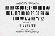 Lionking, a Script Font by FreshTypeINK (Thumbnail 5 of 8)