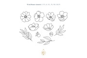WILDFLOWER LINE ART, an Object Illustration by Kate Art (Thumbnail 5 of 22)