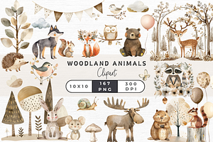 Woodland Animal Clipart