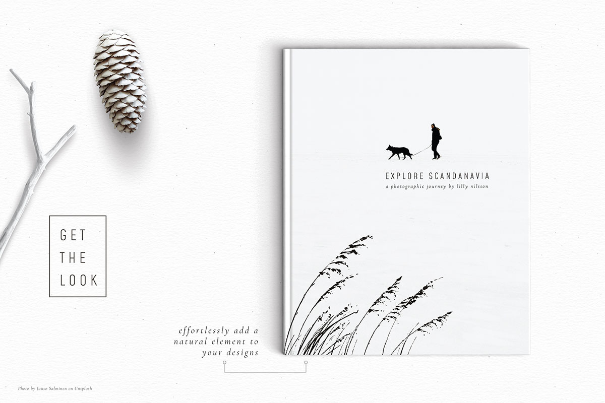 Ink botanicals, logos & patterns, a Texture Illustration by Lisa Glanz (Photo 14 of 32)