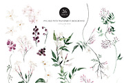 Watercolor flower - Jasmine, an Illustration by Beigetime (Thumbnail 3 of 16)
