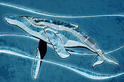 FROZEN Photoshop Effects + Action, a Layer Style Add-On by Alexiva (Thumbnail 4 of 6)
