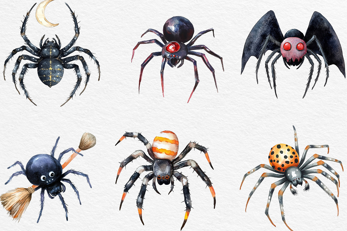 Halloween Clipart Spider Clipart PNG, an Illustration by Black Bird Studio (Photo 4 of 6)