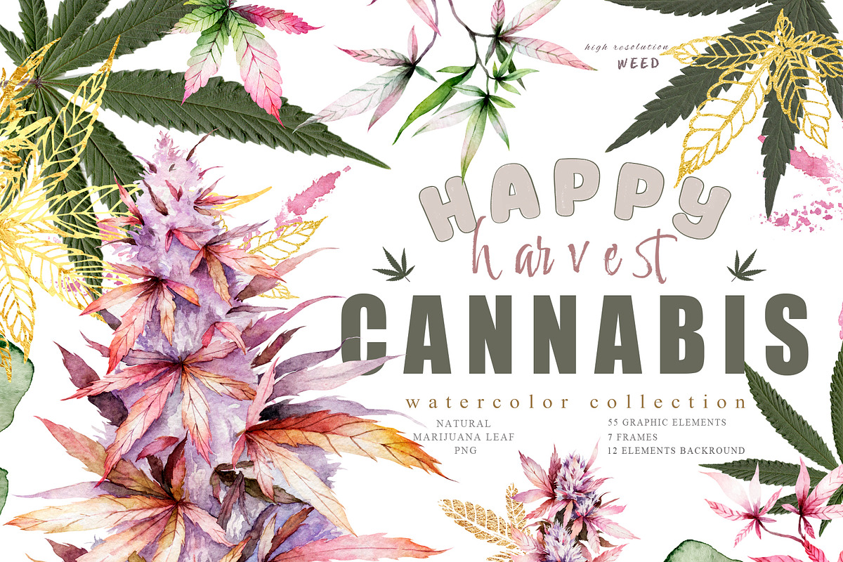 Cannabis. Marijuana harvest set., a Decorative Illustration by Ann Art Houze (Photo 1 of 10)