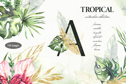 Watercolor Tropical Collection