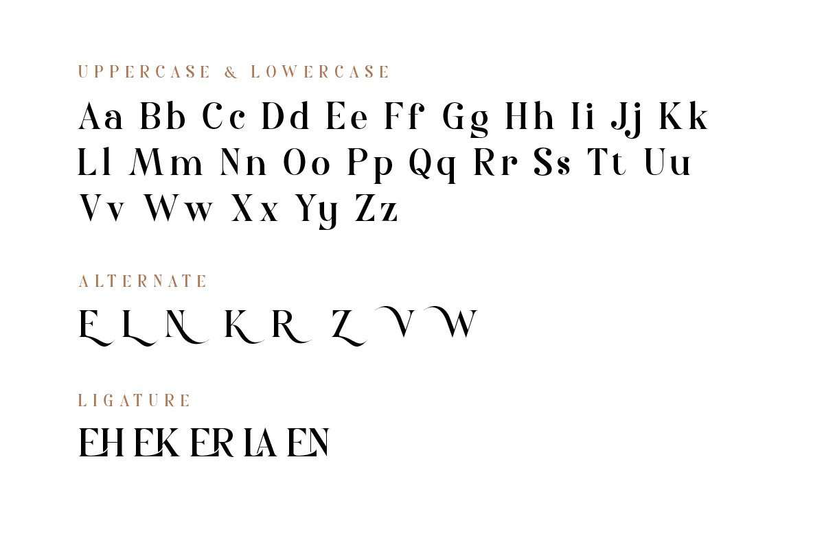 Nolaten - Serif Display Font, a Serif Font by twinstd (Photo 4 of 10)