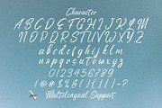 Anthony Louis - Modern Script Font, a Script Font by StringLabs (Thumbnail 10 of 11)