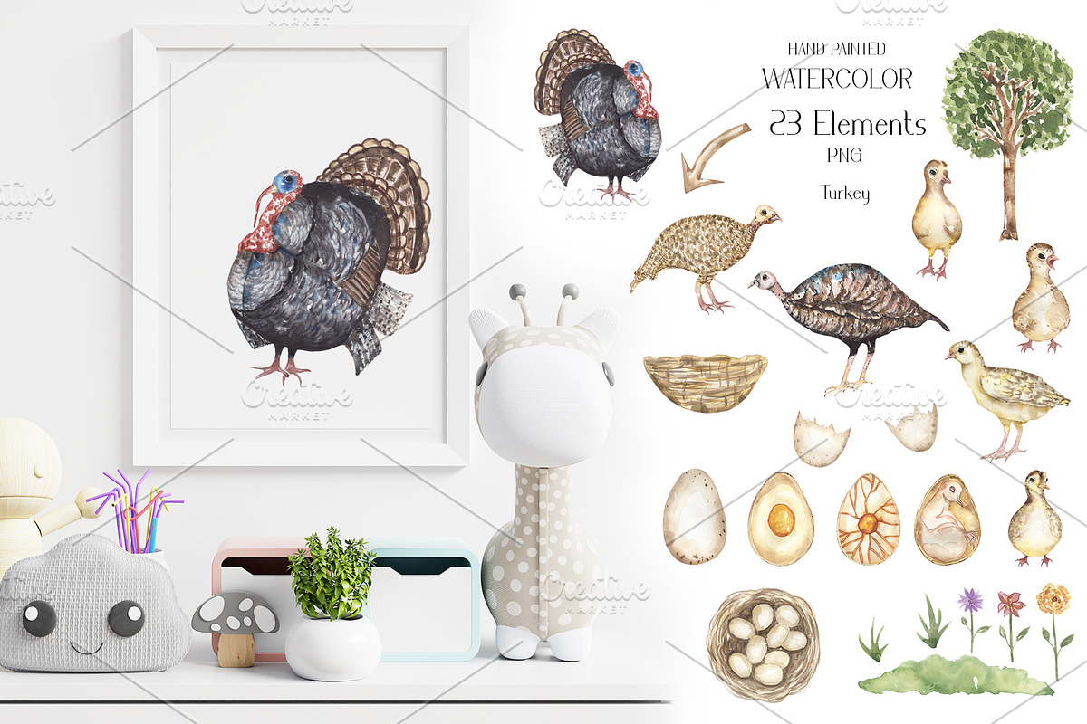 Life Cycle Watercolor Collection, an Education Illustration by MayaNavits (Photo 10 of 12)