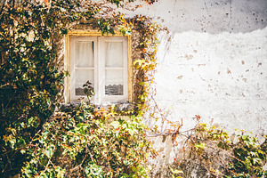 Rustic window with ivy. Copy space, a Wallpaper Photo by SkyNext