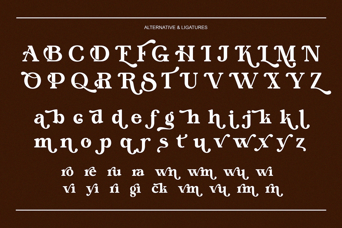 Morina Borick Elegant Ligature Serif, a Serif Font by Alfinart (Photo 8 of 10)