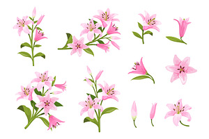 Cartoon pink lilies. Lily pink, an Object Illustration by Stock-Smart-Start