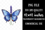 Watercolor Blue Butterfly Clipart, an Illustration by Designking (Thumbnail 4 of 5)