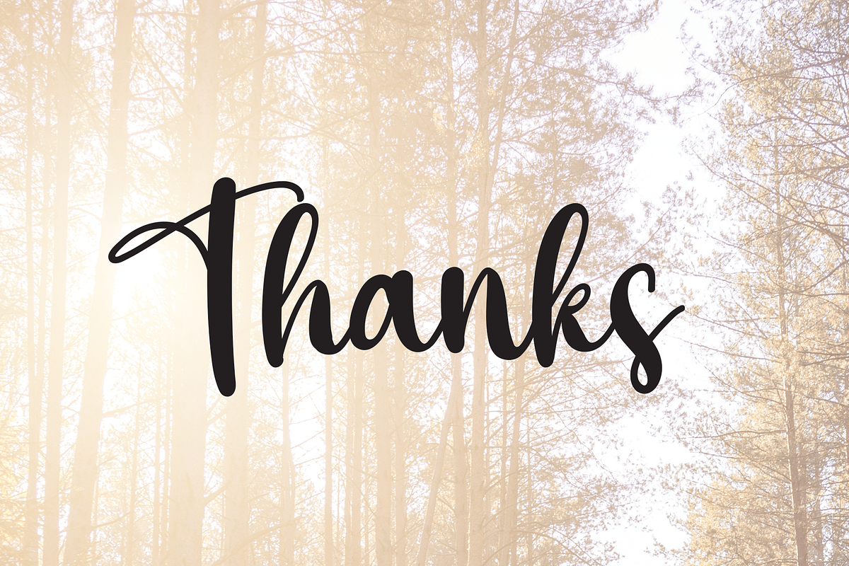 Sunlight | Script Font, a Script Font by Scratchones (Photo 8 of 8)
