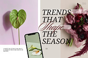Bloom Atelier | 345 stock images, a Nature Photo by Tale.Haus (Thumbnail 20 of 20)