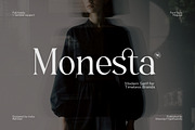 Monesta Regular, a Serif Font by ShowUp! Studio (Thumbnail 1 of 16)