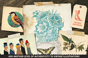 Vintage Paper Ephemera Archive, a Texture Graphic by The Artifex Forge (Thumbnail 3 of 18)