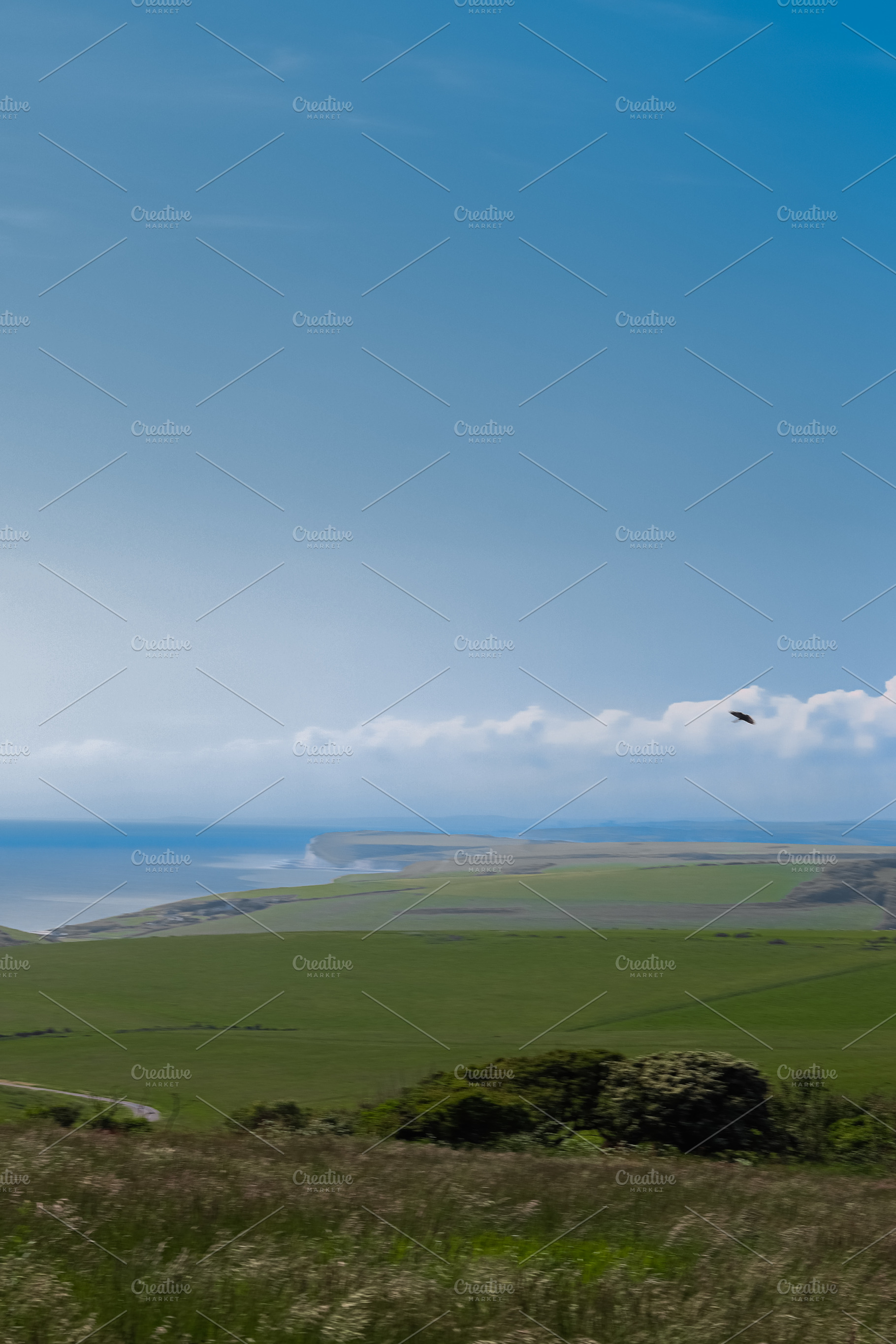 Bird soaring over coastal landscape with green fields and distant cliffs. East, a Photo by Studio ANNA